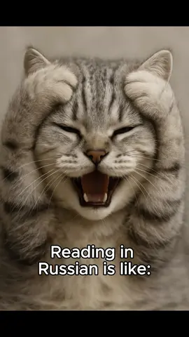 📖 Reading in Russian is like: ыыыыыы – confusion noises эээээ – hesitation in every sentence шшшш – is this ш or щ or… both?? ёёёёё – surprise pikachu face in letter form превысокомного­рассмотрительствующий – …ok, I give up. Learning Russian means going from “ыыыы” to confidently conquering the longest words on Earth 🏆 💡 With uchim.app you’ll learn step by step: 🔹 All the letters and sounds (yes, even ы) 🔹 Reading practice that doesn’t break your brain 🔹 Vocabulary that builds up naturally 🔹 Fun exercises with culture & context 🐻 Russian might look scary, but with uchim it starts making sense — one syllable at a time. 📌 Save this if Russian ever made you go “ээээээ” 🪆 Tag a friend who’d panic at превысокомного­рассмотрительствующий #LearnRussian #RussischLernen #RussianAlphabet #RussianWords #Uchim #RussianMadeSimple #SlavicEnergy