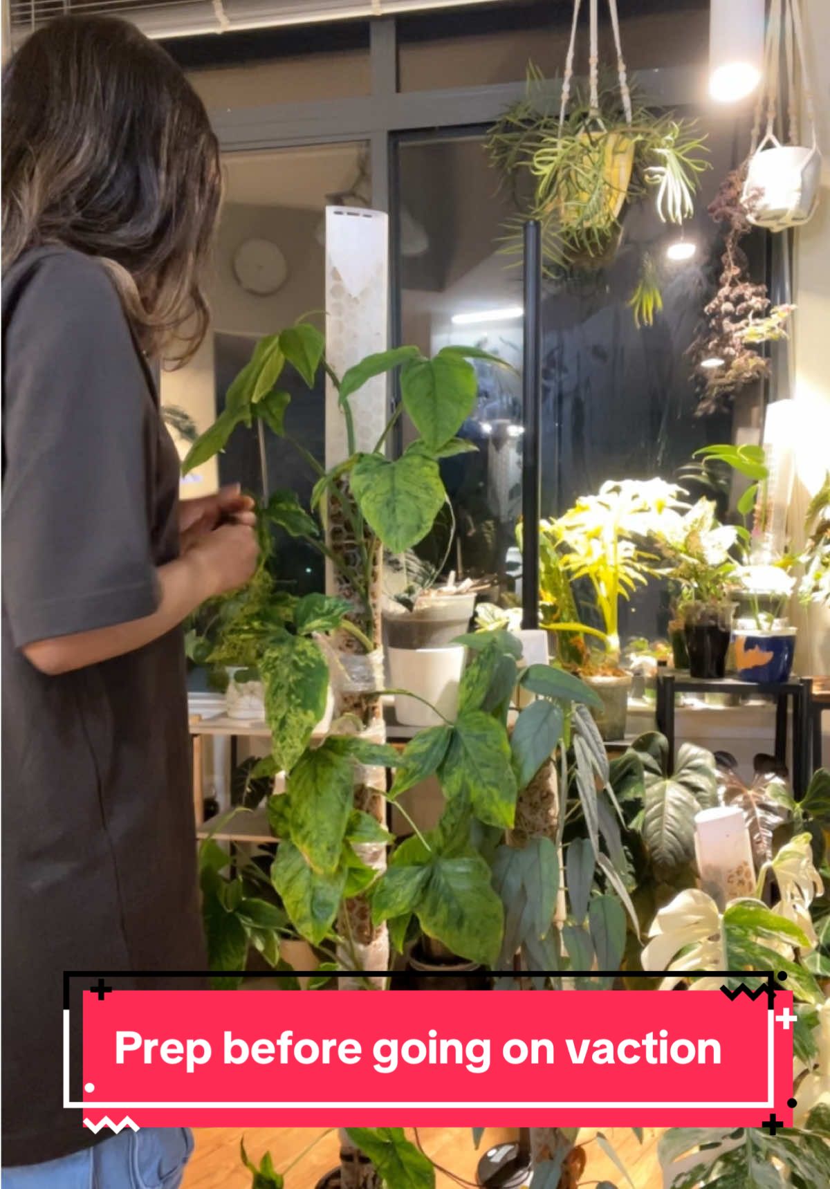 I’m heading out of town for vacation and need to prepare my plants for survival while I’m away! 🌱✨ #fyp #foryoupage #foryou #fypシ 