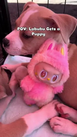 Adopt Don’t Shop 🐶🩷 Labubu Adventures… Me and Loyalty spent the day with the cutest puppies and we ended up adopting one!!! Say hello to the newest member of our familyyyy! 🤗   @POP MART @POP MART US @POP MART US SHOP @POPMART USUNBOXING.  #popmart #labubu #labubuthemonsters #dogsoftiktok #puppytiktok 
