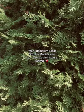 ❤️‍🩹 #mirzayewh⚡️ #N #aniyakala #qlobal #fypage 