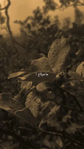 ما مرتاح .. #تصميمي #شعر_شعبي  #fyp #explore 