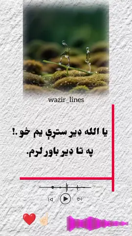 #creatorsearchinsights #moor #foryoupage #wazir_lines #tiktok 