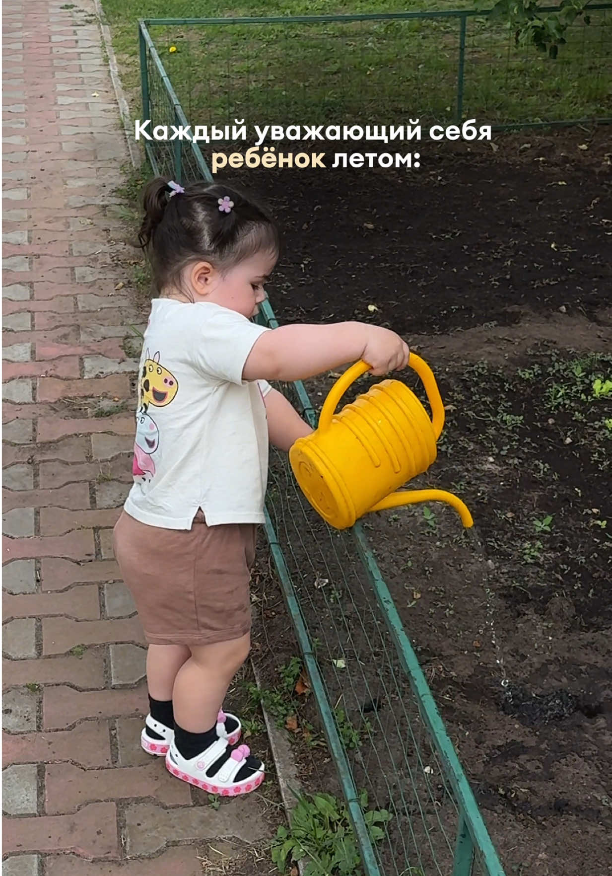 Тгк: pushmanjulia