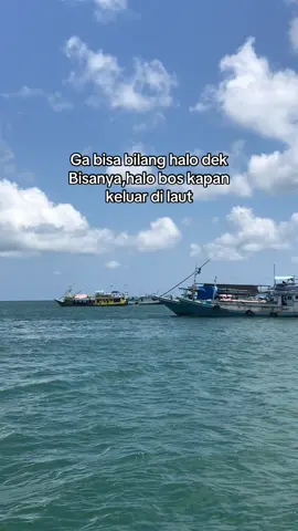 Bisanya halo bos🤣 #foryou #storypelaut #masukfyp 