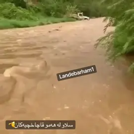 #میگزەمینی🦁 #قاچاخچيةكاني💪🖤 