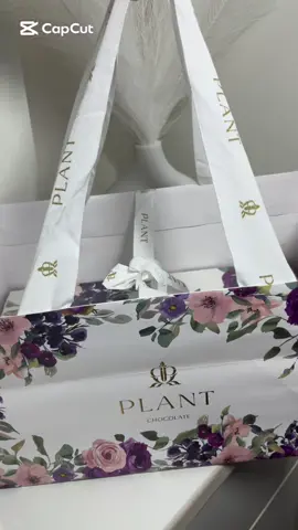 بلانت #@Plant | بلانت #بلانت #سويت #بلانت #حلا -بلانت 