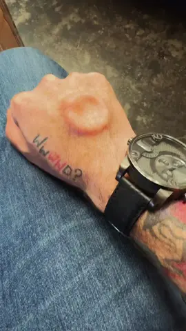 This old chestnut 🌰 🤣