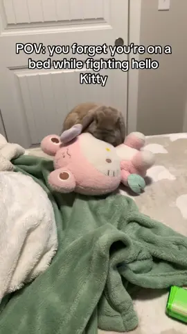 Hes okay! I went to check on him after and he was just embarrassed that he fell down too #fyp #bunnytok #rabbitsoftiktok 