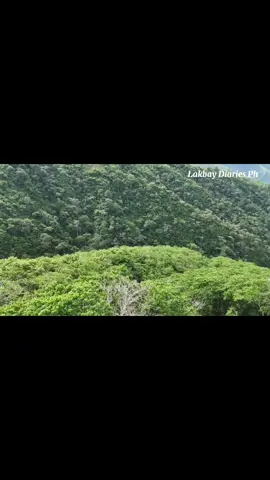 Just starting my Affiliate journey. Please help me to reach 600 follower. #newaffiliate, #engagement, #affiliatemarketing, #foryou, #viral