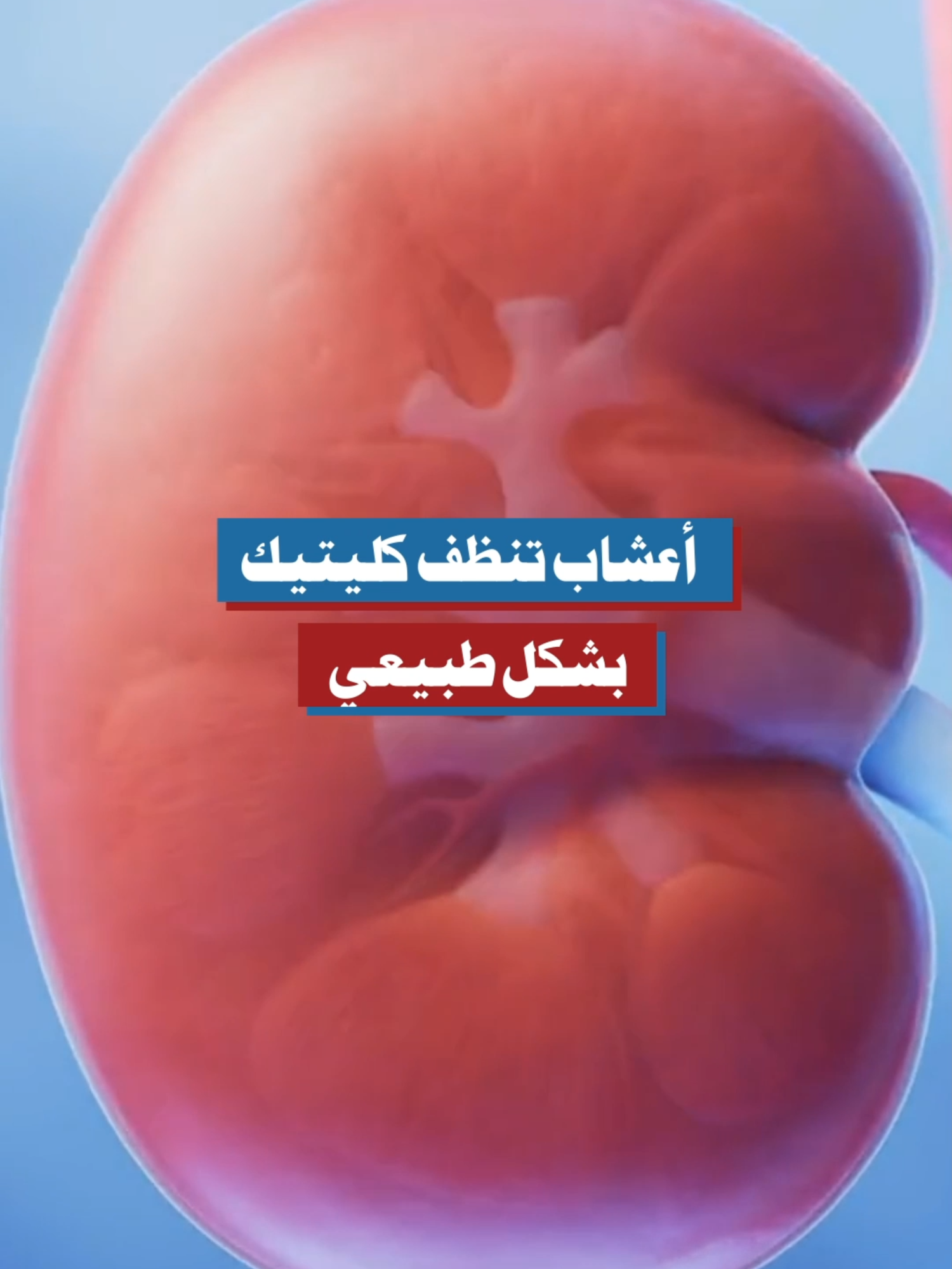 أعشاب تنظف الكلى بشكل طبيعي #الكلى #الصحة #تنظيف_الكلى