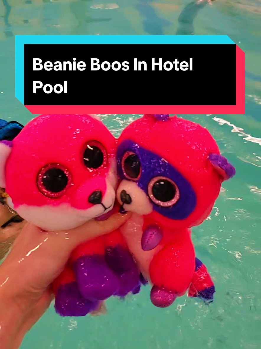 Drove 725 miles for this moment 😭 . . . #beanieboo #beanieboos #swim #swimming #beanieboos4life 