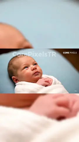 Ana kuzusu. #keşfet #veo3 #bebek #yapayzeka #fyp 