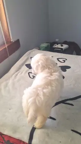 They're so freaking adorable ❣️ 