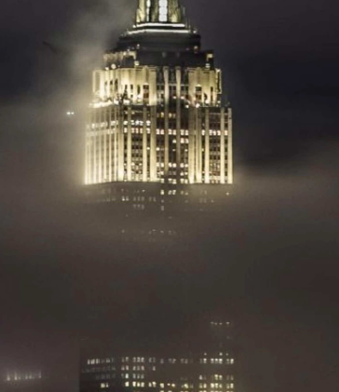 #moodboard #targetaudience #chromehearts #maisonmargiela 