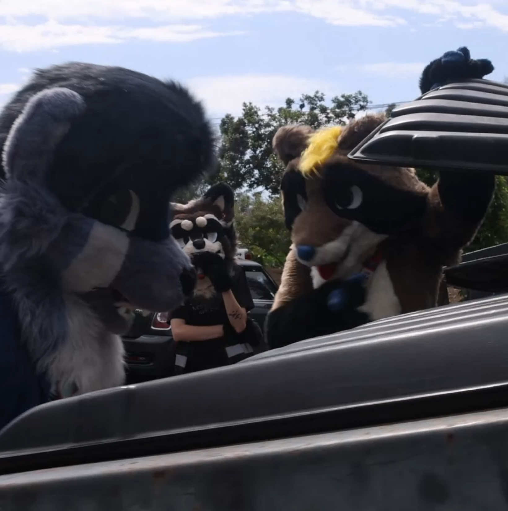 I just wanted to throw out the trash… (ft. Yanko, Slater, Alton & Betu) #foryou #furry #fursuit #raccoon 