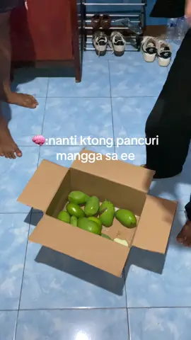 #kupang #telurgulung #yareu #manggamuda 