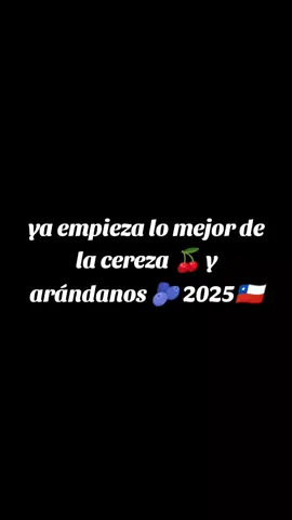 cosecha cereza y Arandanos chile 2025🇨🇱🫐🍒 #bolivianosenchile🇧🇴🇨🇱 #cosecha  #boliviatiktok  #bolivia🇧🇴tiktok  #cereza 