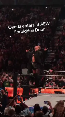 Okada enters at AEW Forbidden Door @Shirleigh 🪩✨️ 