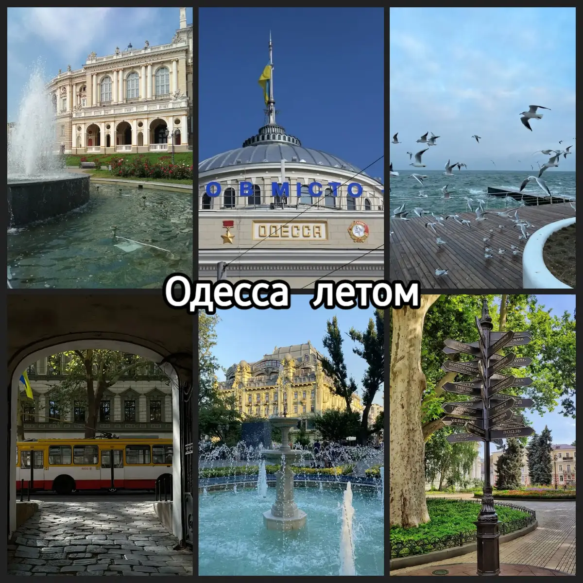 #одесса #одессамама #украина🇺🇦 