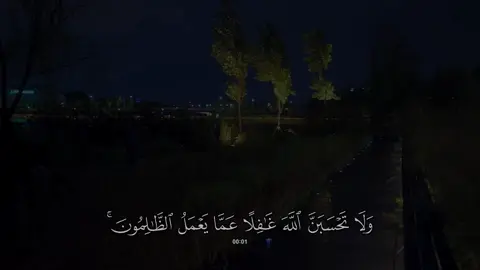 سورة #ابراهيم | #احمد_عبدالرزاق_نصر 