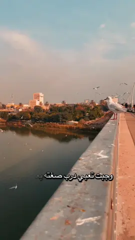 #اكسبلورexplore❥🕊🦋💚❤🕊️،🌸🌺 #لايك__explore___متابعة🔥🤍🥀#سمير_صبيح❤️ #مشاهير_تيك_توك_مشاهير_العرب🌺💜 #iraq🇮🇶 