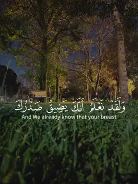 وَلَقَدْ نَعْلَمُ أَنَّكَ يَضِيقُ صَدْرُكَ بِمَا يَقُولُونَ (97) ﴿سورة:الحجر﴾ ﴿اية:97﴾ القارئ:ادريس ابكر . . #qoran #قرأن #ادريس_ابكر #ياسر_الدوسري #محمد_اللحيدان 