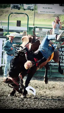 #rodeo #horses 
