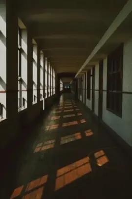 #щп #щитпост #овсянкин  #бшш #текстпесни #рек