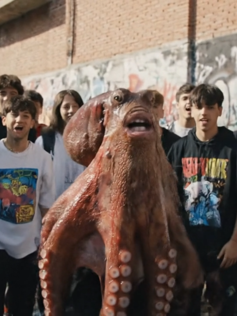 #veo3 #inteligenciaartificial #ia #galicia #memesgalicia 