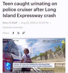 #Suffolk police cruiser            Long Island Expressway 