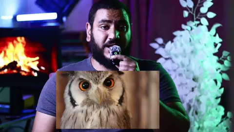 ليه بشوف رؤى كتير وأحلام مبتتحققش ؟ كيف أرى رؤية صالحة#تفسير_الأحلام #فسرحلمك #الرؤى_الصالحة #تفسيرالأحلام #viral 