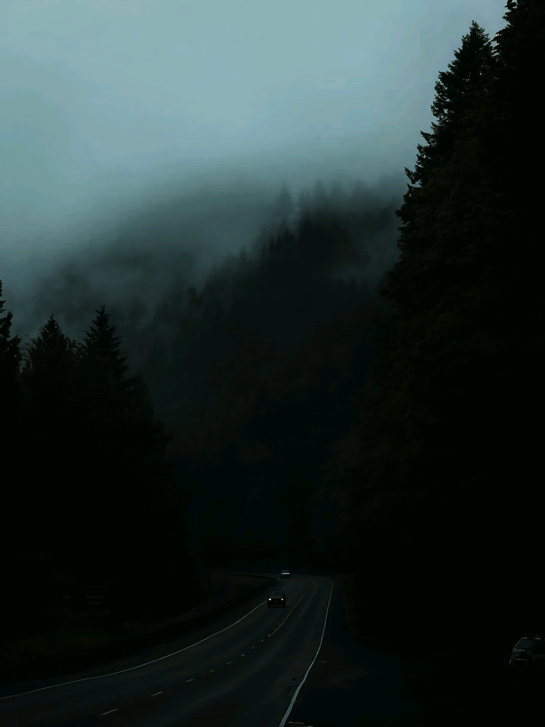 pov: você foi para a floresta de duskwood. ps: perdoem o meu fraco inglês. ;)  #duskwood #jakedonfort #everbyte #moonvale #jakeduskwood