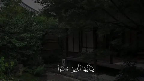 #ماهرالمعيقلي #سورة_التحريم #قران #اجر_لي_ولكم #v_hs8 