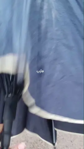 اجواء مأرب #مطر #مارب #اليمن🇾🇪 