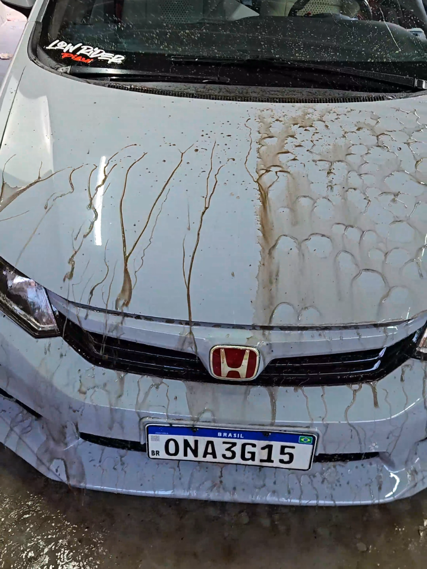 Cera dos sonhos.... #overtuning #carro #soft99 #cera 