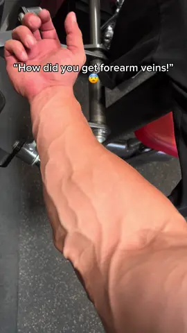 Secret is out for forearm veins👀 #ujimenez #GymTok #Fitness #bodybuilding 
