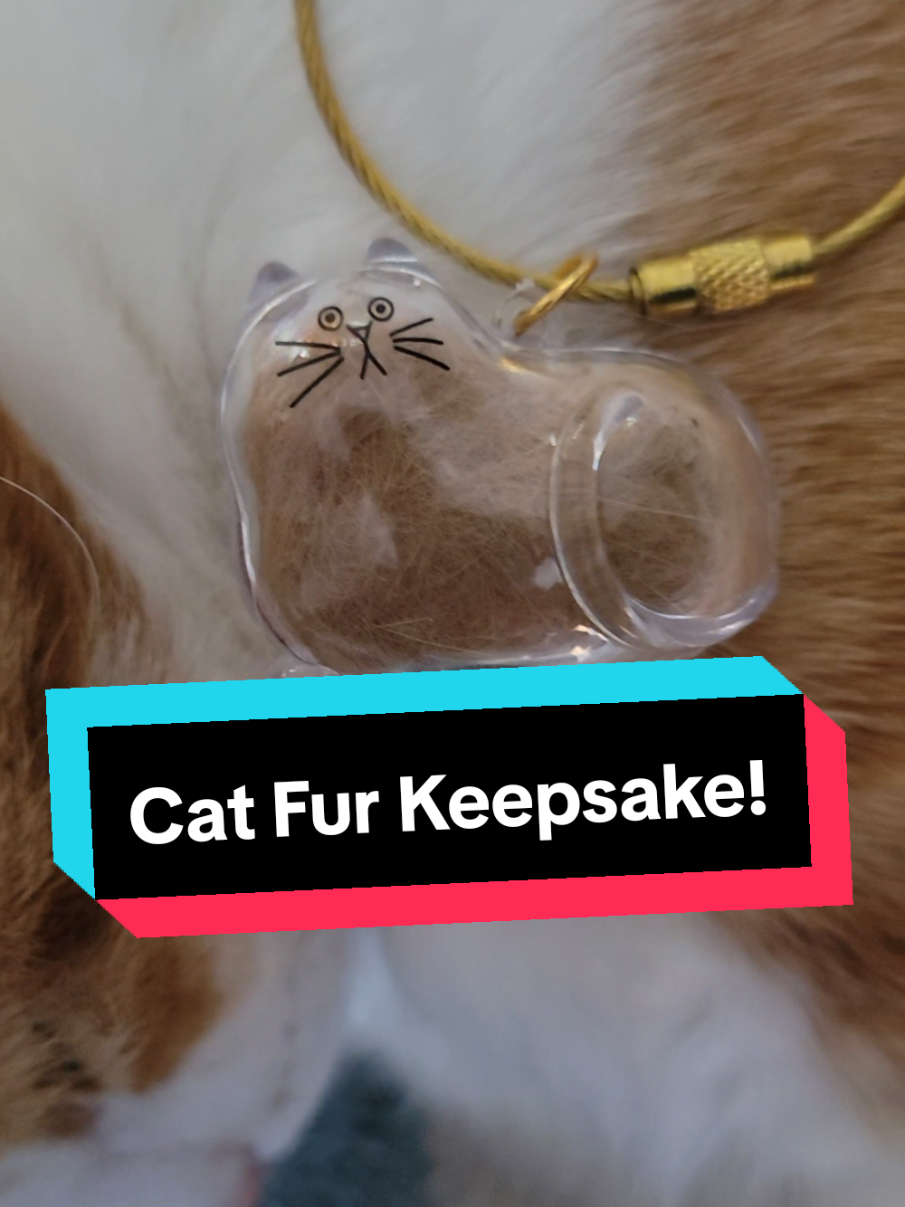 This thing is so cute!  #petmemorial #catsoftiktok #orangecat #cats #tiktokshop 
