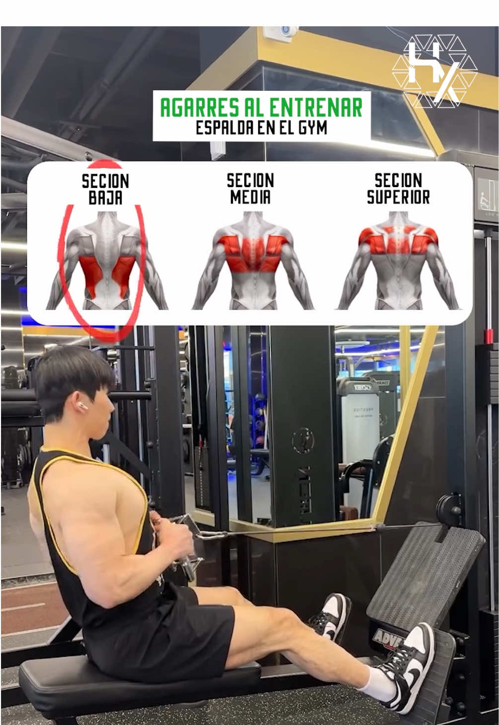 🔽3 Diferencias entre los Agarres para Remo Sentado🔽 🔸CERRADO vs. MEDIO vs. SUPERIOR🔸 ⠀ 1. Agarre Neutro Cerrado - Este agarre se caracteriza por las palmas enfrentadas y una separación estrecha entre las manos. Trabaja principalmente el dorsal ancho inferior. ⠀ 2. Agarre Neutro Medio - Este agarre es ligeramente más ancho que el primero y permite un mayor control de los hombros. Trabaja principalmente los dorsales, así como el trapecio medio y los romboides. ⠀ 3. Agarre Prono Ancho - Este agarre se caracteriza por las palmas hacia abajo y una separación amplia entre las manos. Trabaja principalmente el dorsal ancho superior y los deltoides posteriores. #fuerza #gym #WORKOUT #TRAIN #gymmotivation              