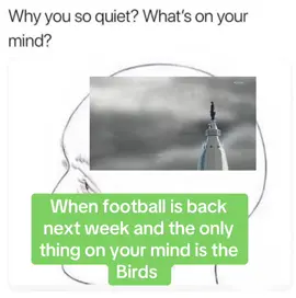 Let me get a GO BIRDS! #fyp #gobirds🦅 #flyeaglesfly🦅 #phillysports 