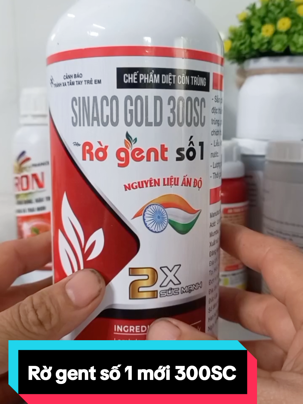 Rờ gent số 1 mới 300SC, nguyên liệu nhập từ Ấn Độ. #nongnghiep #thuocbaovethucvat #thuoctrusau #regent #regent300sc  @SẢN PHẨM GIÁ TỐT @SẢN PHẨM GIÁ TỐT @SẢN PHẨM GIÁ TỐT 