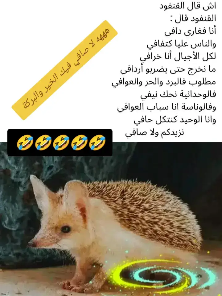 ##مزورفة_تيفلت_الخميسات #الخزازنة_تيفلت_الخميسات👑💓👑💓👑💓👑💓 #dakhla_moroccoo ##laayoune #المغرب🇲🇦🇲🇦 