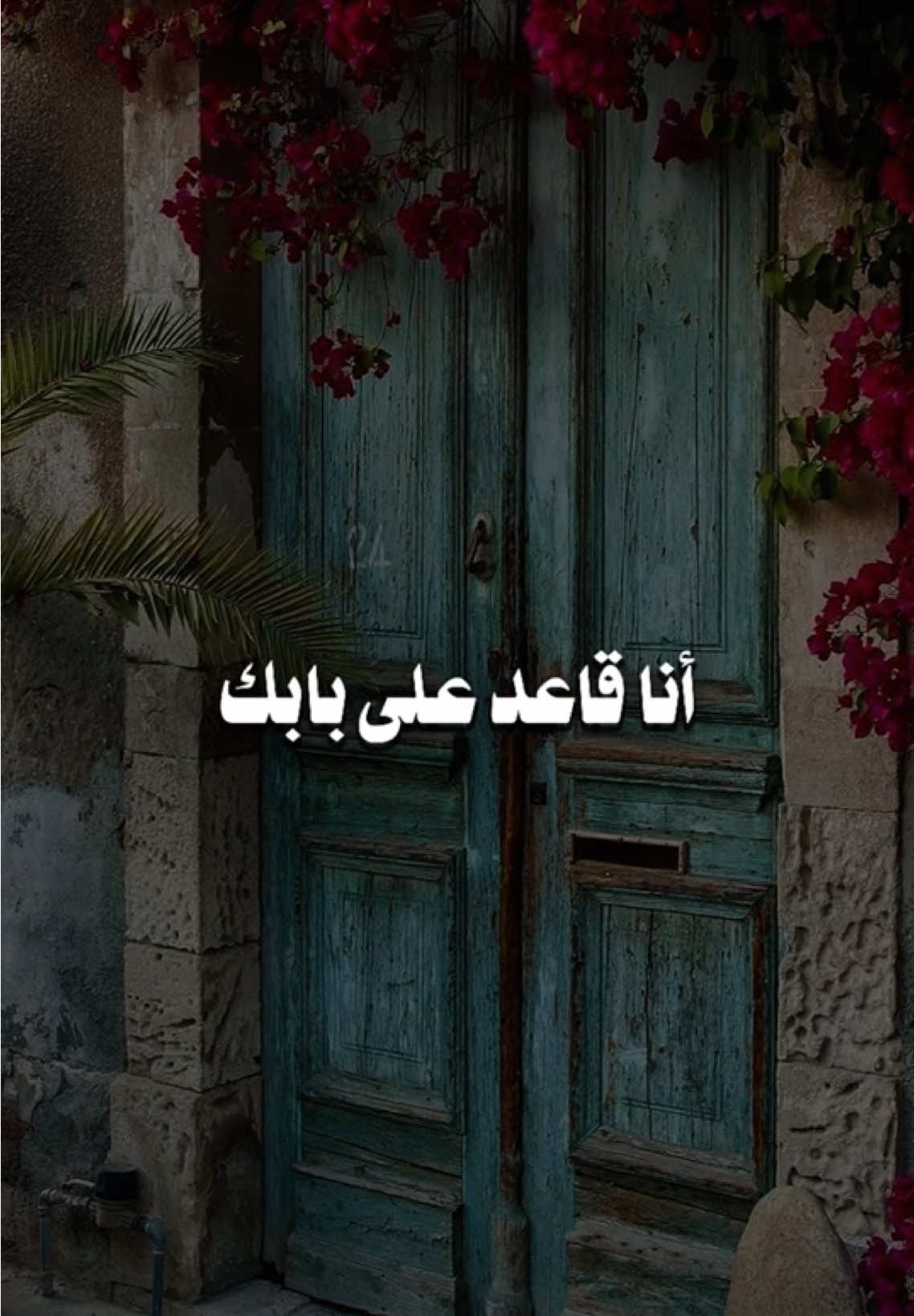 أنا قاعد على بابك، إلين تقول لي راضي  تبيها عام أو ليلة تدلل ما ورانا شي🧚🏻‍♂️💫 #كلي_اسف #انا_قاعد_على_بابك #عبدالمجيدعبدالله #مجيديات #تصميم_فيديوهات🎶🎤🎬 
