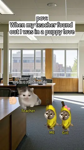 When puppy love is approved by parents 🤣🤣🤣#funny #cat #memes #catoftiktok #catmemes 