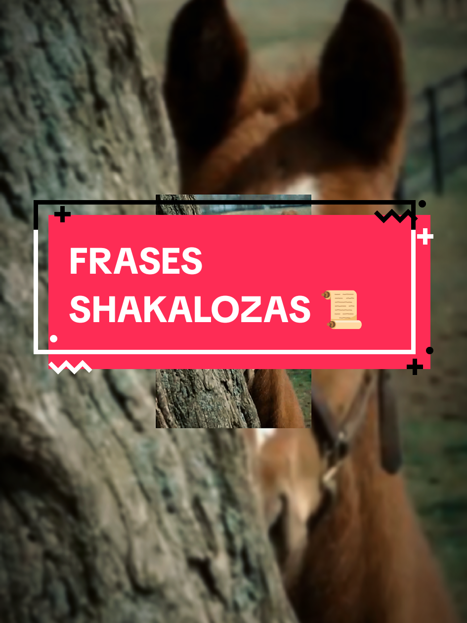 FRASES SHAKALOZAS 📜💯 #frasesmotivadoras #frasesshakalozas🤠👊 #2025 #qoute #viral 