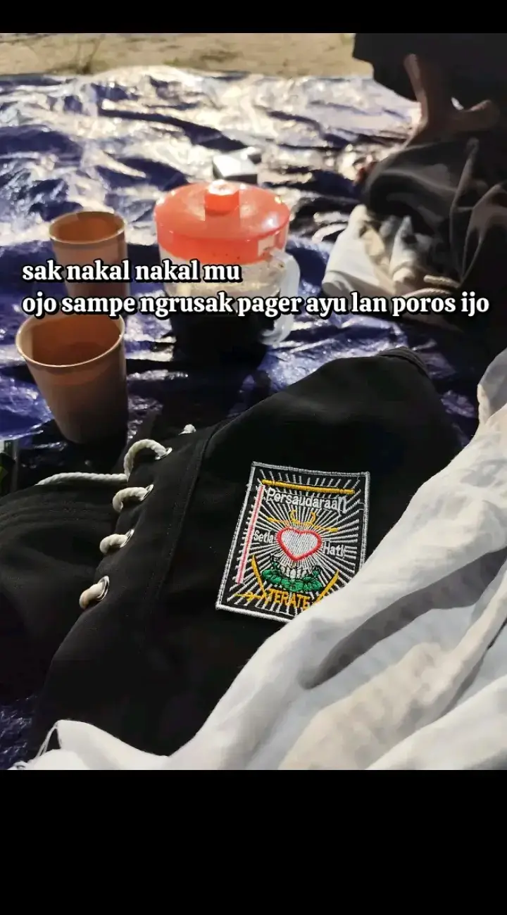 #psht #1922 #foryoupage #pshtindonesia22 #pshtpunjermadiun 