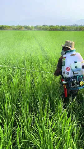 Smangat pgi kawan #knalpotresingtu26 #sprayer2tak #sukamajusulawesiselatan 