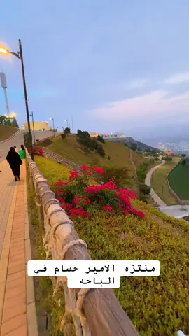 #منتزه الامير حسام  #شموخ الباحه 