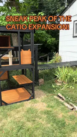 here’s a quick sneak peek of our new catio! We wanted to expand our homemade patio to include a vertical section so that our kitties could climb up and get better vantage points. Full install video coming soon! #catio #catios #cat #catsoftiktok 