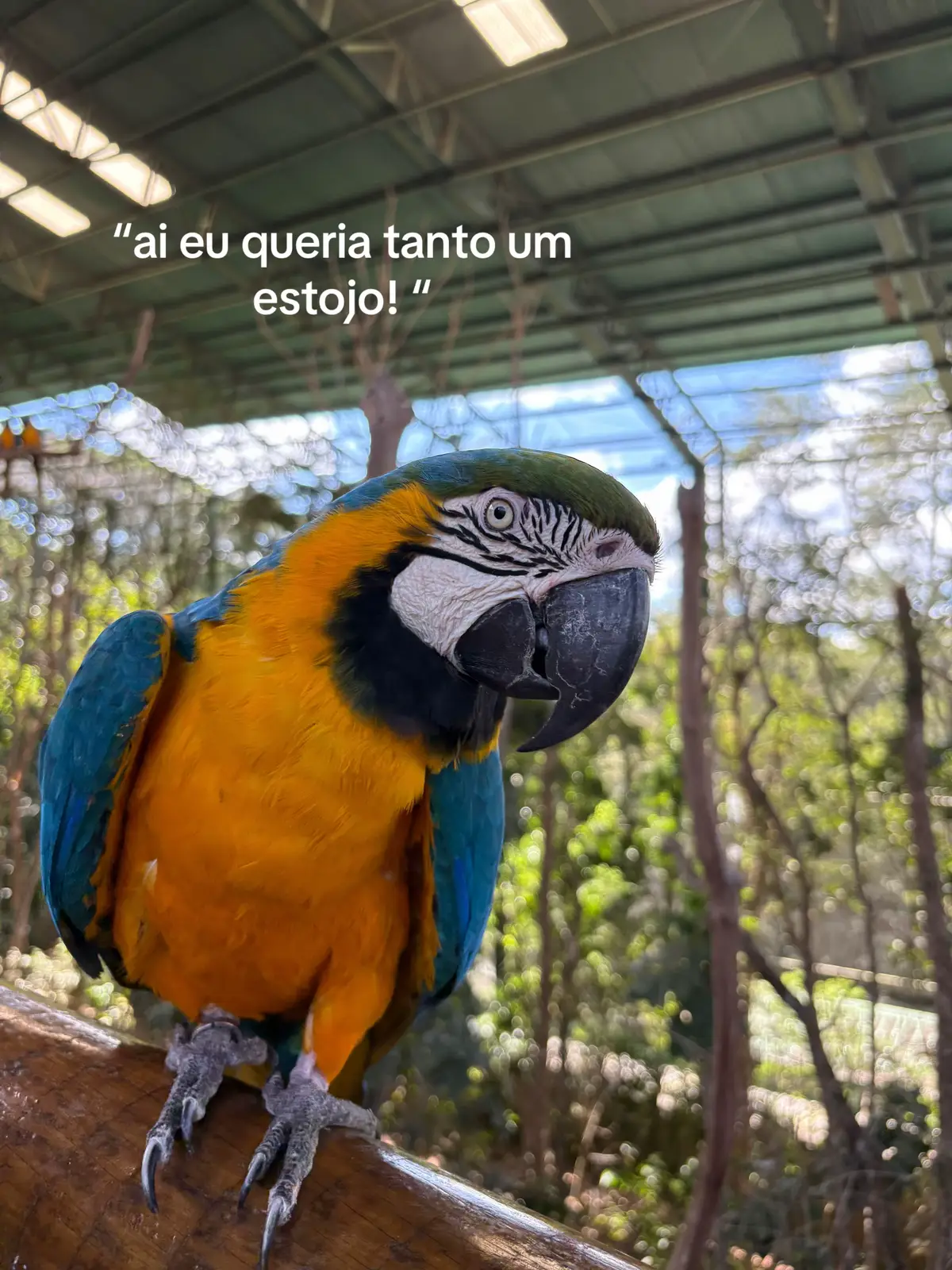 meu sonhooo🤍.    #fyp #fpy 