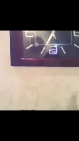#اكسبلور @مجرم قيمز #مجرم_قميز #الشعب_الصيني_ماله_حل😂😂 